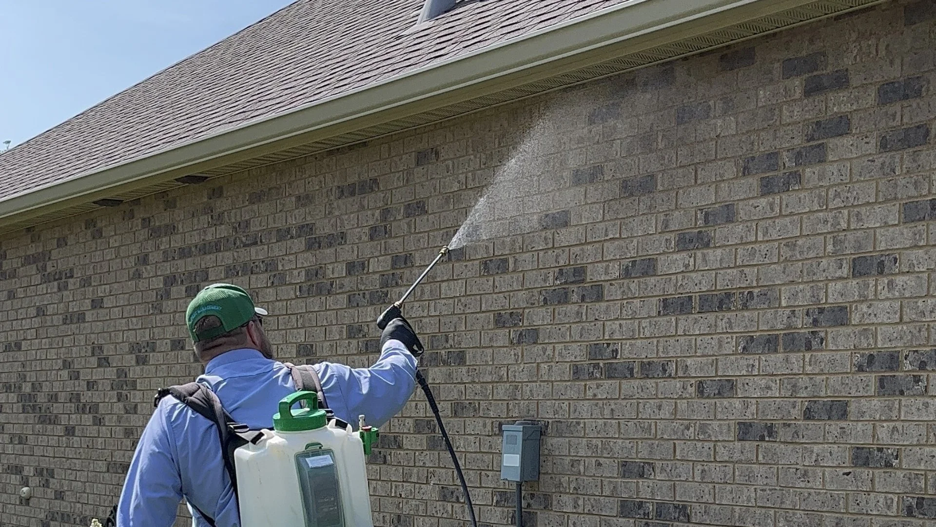 Green Flags to Look For When Hiring an Exterior Pest Control Company